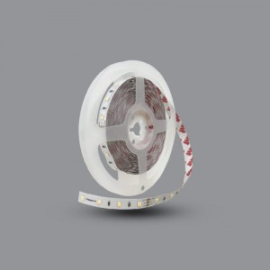 ĐÈN LED DÂY PARAGON LED2835