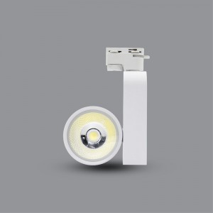 ĐÈN LED PHA TIÊU ĐIỂM PARAGON PSLOO20L