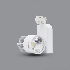 ĐÈN LED PHA TIÊU ĐIỂM PARAGON PSLOO20L