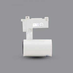 ĐÈN LED PHA TIÊU ĐIỂM PARAGON PSLTT20L