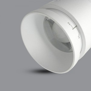 ĐÈN LED PHA TIÊU ĐIỂM PARAGON PSLUU30L