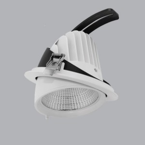 Đèn Downlight Điều Chỉnh MPE 12W