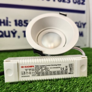 Đèn led downlight âm trần DK-DL21