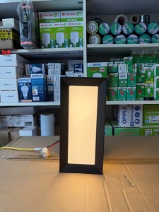 Đèn LED Gắn Tường Ngoại Thất Cao Cấp 12W Chống Nước IP65