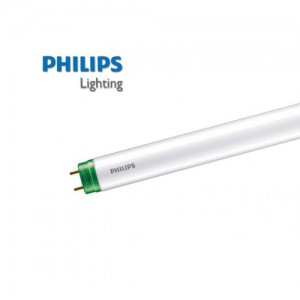Đèn Led Tuýp Essential 14.5W T8 1200mm AP I Philips