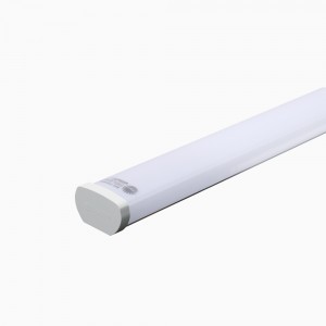 Bộ đèn LED M46 1200 Rạng Đông