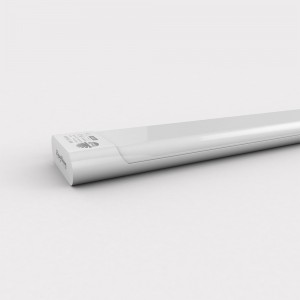 Bộ đèn LED M66 1200 Rạng Đông