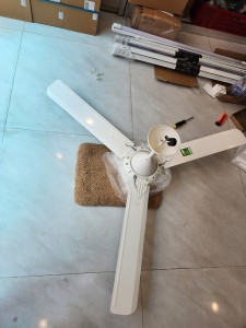 Quạt trần F-60MZ2 Panasonic