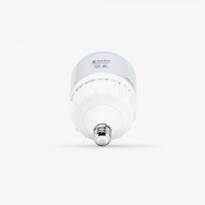 Bóng LED Bulb TR100N1 Rạng Đông